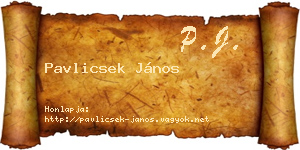 Pavlicsek János névjegykártya